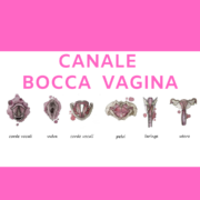 CANALE BOCCA VAGINA (2)